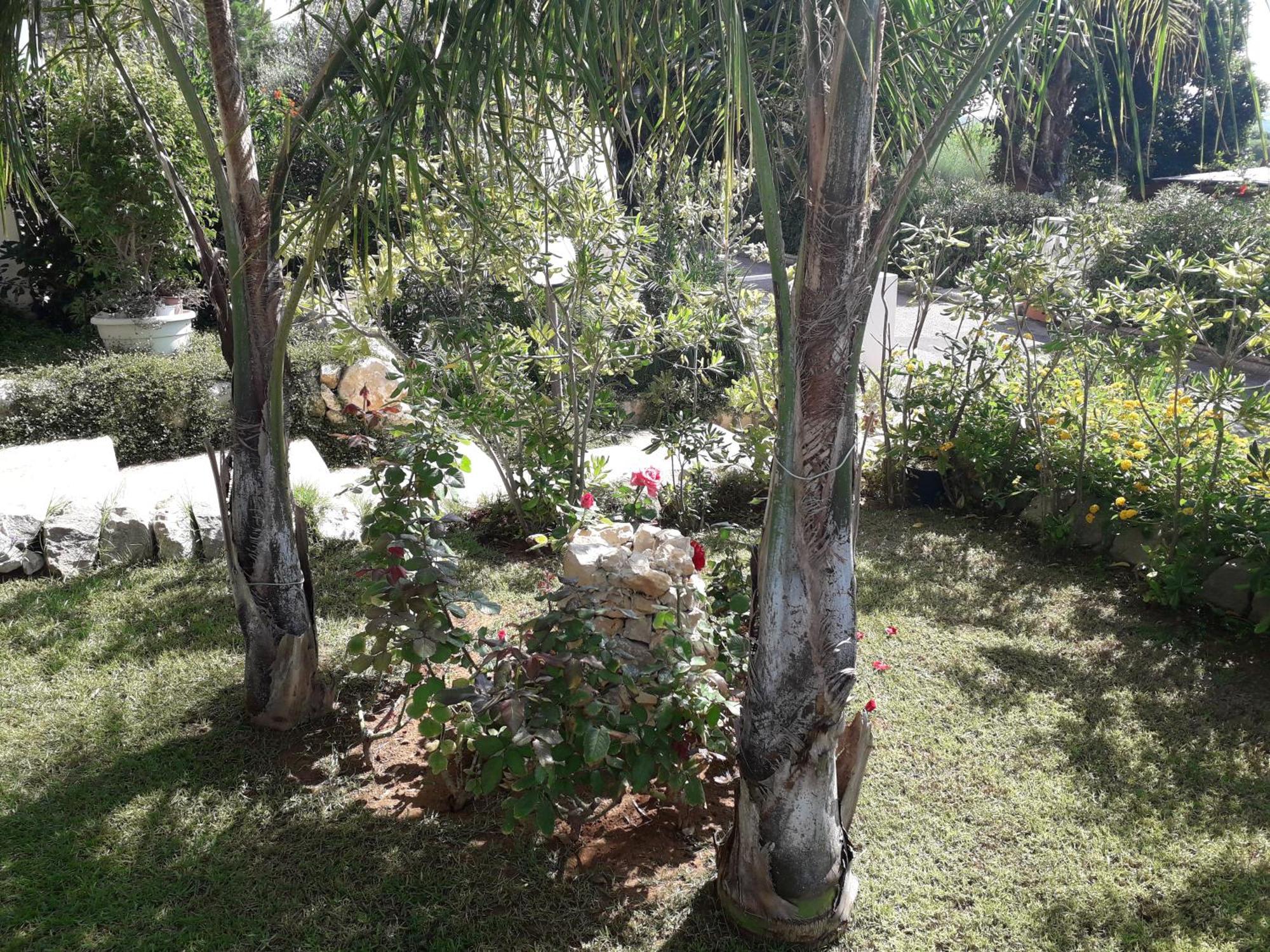 L'Oasi Di Athena Villa Ragusa Ngoại thất bức ảnh